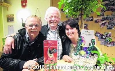 Erdbeerpflanze  oder Stockrose