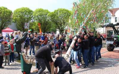 Schöne Stunden unter dem Maibaum verbringen