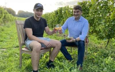 Die Weinlese hat begonnen