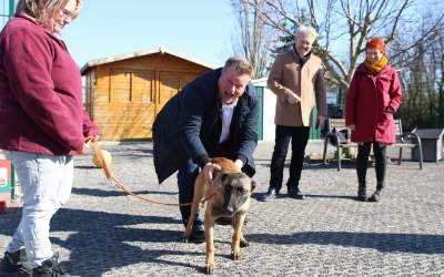 Unterbringung ist ein stetiger Jonglage-Akt