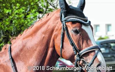 Ein starker Rücken kennt keinen Schmerzen