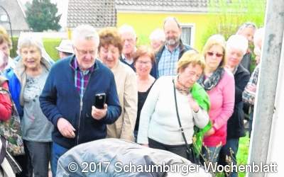 Der richtige Rosenschnitt