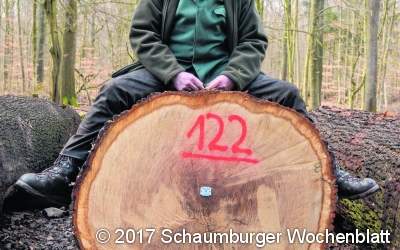 Die Braut kommt aus dem Harrl
