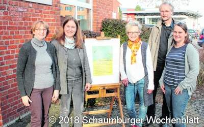Es gibt keinen Lebensraum für Insekten in Schottergärten