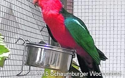 Vogelschau und Vogelbörse