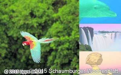 Vielfältige Naturwunder der Erde