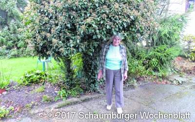 Ein Baum gilt als 