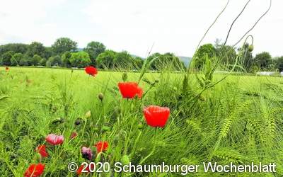 Landwirten nach Start des Volksbegehrens ist nach Berichterstattung aufgekommen