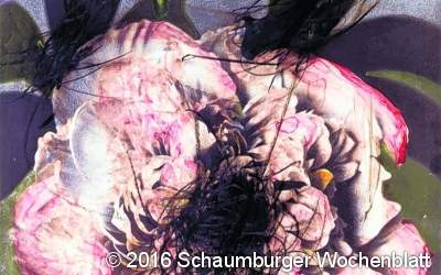 Von der Kunst der Kommunikation