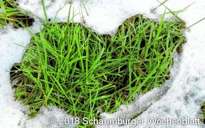 Ein frohes Neues mit mehr Selbstliebe