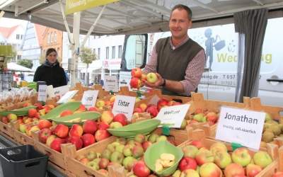 Morgen Stadthäger Apfelmarkt ...