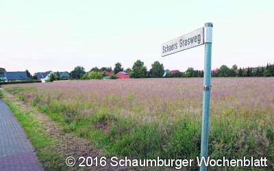 ﻿Wunstorf benötigt Baugebiete
