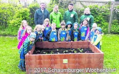 Gemüsehits für die Kinder