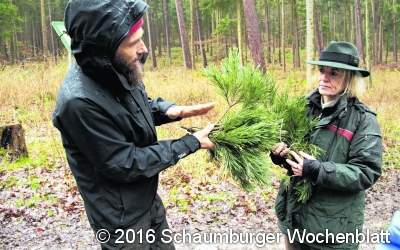 Ungewöhnliche Ernte