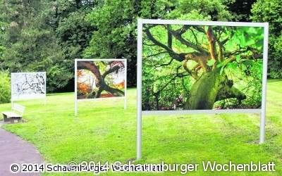 Geheimnisvoll, mystisch, märchenhaft