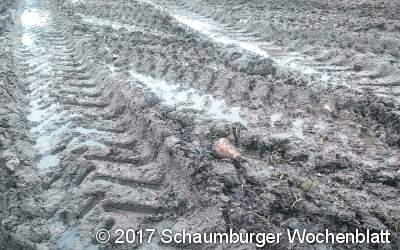 Regen überschwemmt Felder
