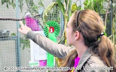 Bestnoten für die farbenprächtigen Vögel