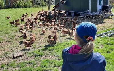 Spannende Einblicke in die Landwirtschaft
