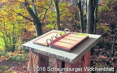 Ausblick, Weitblick und Einblick