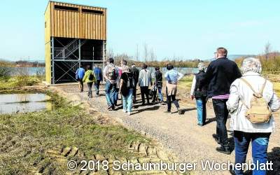 Jetzt wird es Frühling in der Auenlandschaft