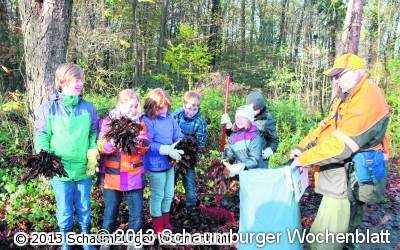 Schulkinder fegen den Wald