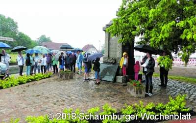 Nun müssen nur mehr Busse fahren