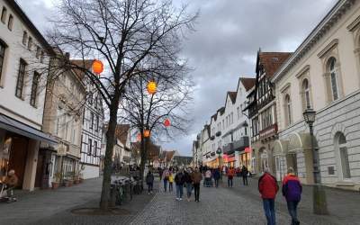Planungen für Baumquartiere überdenken
