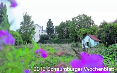 Bürgergarten für 18.000 Euro zu übertrieben?