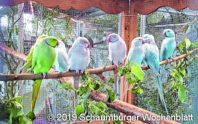 Erkennbarer Unterschied zwischen einem Tierliebhaber und einem Tiervermehrer