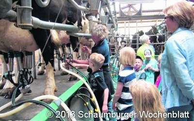 Ferienspaßaktion auf Tecklenburgs Bauernhof