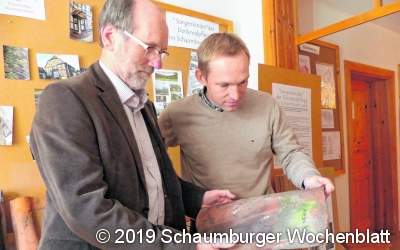Für wenig Geld schaut ein Experte hinters Gebälk