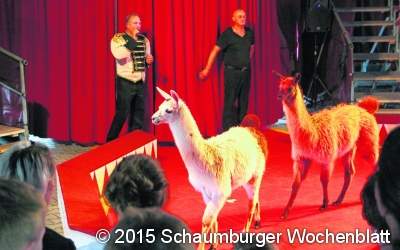 Manege frei für Artisten, Lamas und Magier