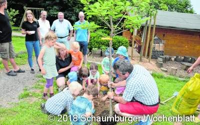 Von Mumien, Bienen und Kirschbäumen