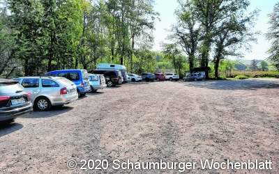 Der Wald wird neu entdeckt