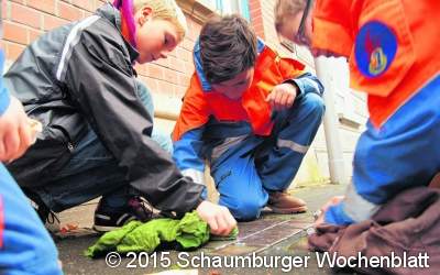 Jugendwehr putzt Stolpersteine