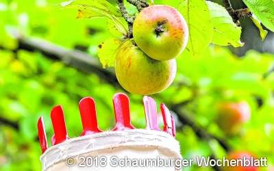 Lions Club und NABU laden zum Apfelfest