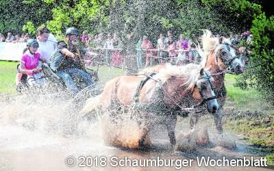 Ross und Reiter harmonieren