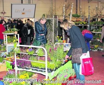 Schaumburger Wochenblatt » Frühlingsfrisches für Heim und Garten
