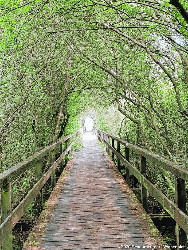 Radtour rund ums Steinhuder Meer. Abstecher auf einem sehr idyllischen Weg zum Aussichtspunkt Winzlarer Turm.Tanja Straub, Obernkirchen