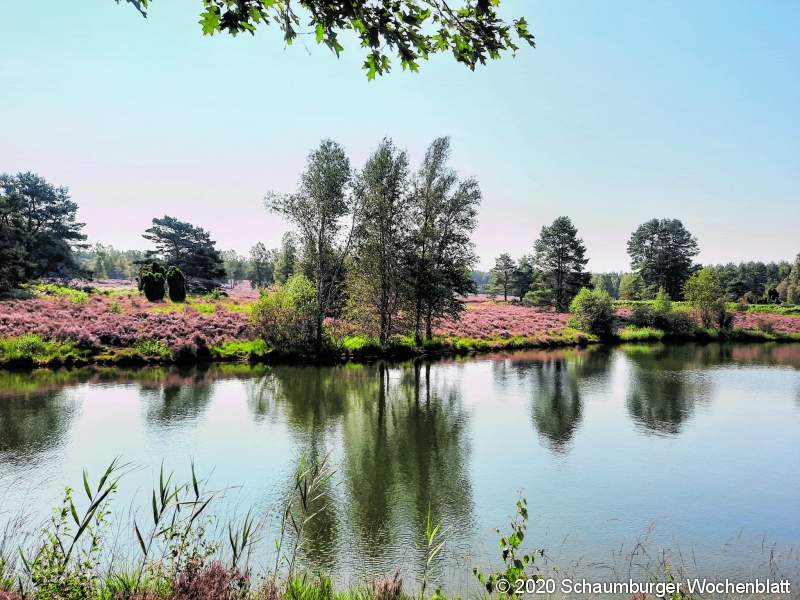 Sonntagsausflug in die Südheide, Angelbecksteich, fotographiert von Sigrid Kipper