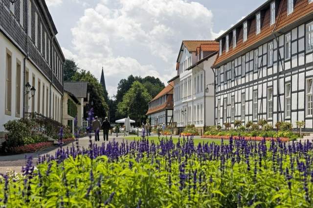Gräflicher Park Bad Driburg Hauptachse.