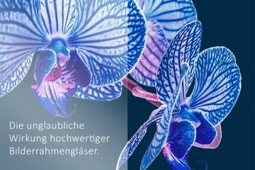 Tauschaktion 10 % auf Bilderglas machen Sie Ihre Bilder wieder sichtbar!