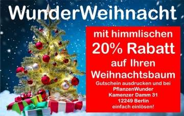 Himmlischer Rabatt 20 % beim Kauf Ihres Weihnachtsbaums