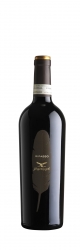 2022 Valpolicella Ripasso Giuseppe Campagnola