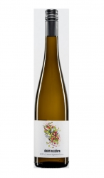 2023 Weingut Daniel Mattern Sauvignon Blanc trocken